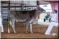 LCFair2016-1139.jpg