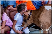 LCFair2016-1166.jpg