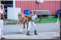 LCFair2016-1172.jpg