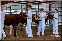 LCFair2016-1206.jpg