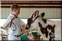 LCFair2016-1207.jpg