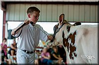 LCFair2016-1208.jpg