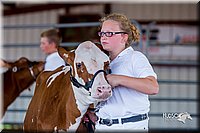 LCFair2016-1210.jpg