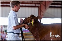 LCFair2016-1211.jpg