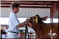 LCFair2016-1212.jpg