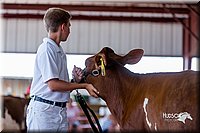 LCFair2016-1213.jpg