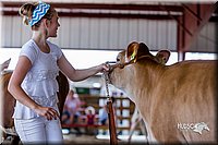 LCFair2016-1214.jpg