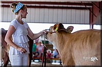 LCFair2016-1215.jpg