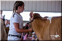 LCFair2016-1216.jpg
