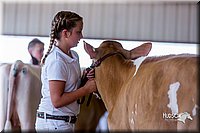 LCFair2016-1218.jpg