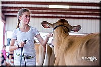 LCFair2016-1219.jpg