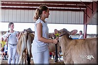 LCFair2016-1220.jpg