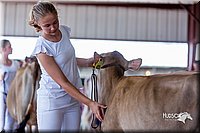 LCFair2016-1221.jpg