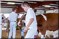 LCFair2016-1227.jpg