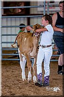 LCFair2016-1243.jpg