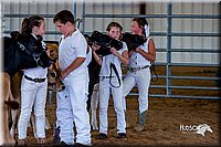 LCFair2016-1284.jpg