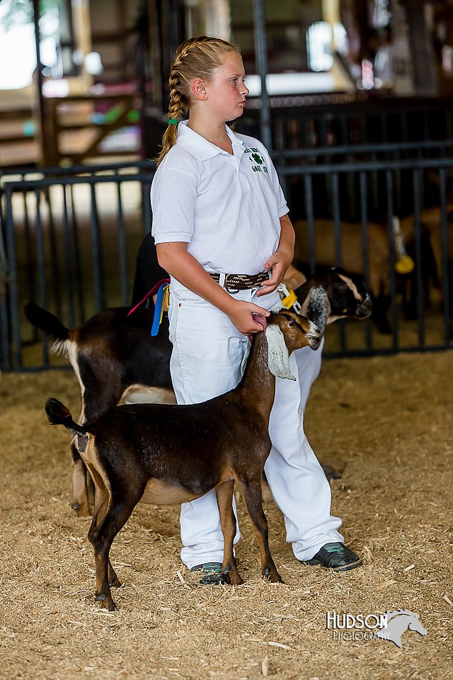 LCFair2016-1015.jpg