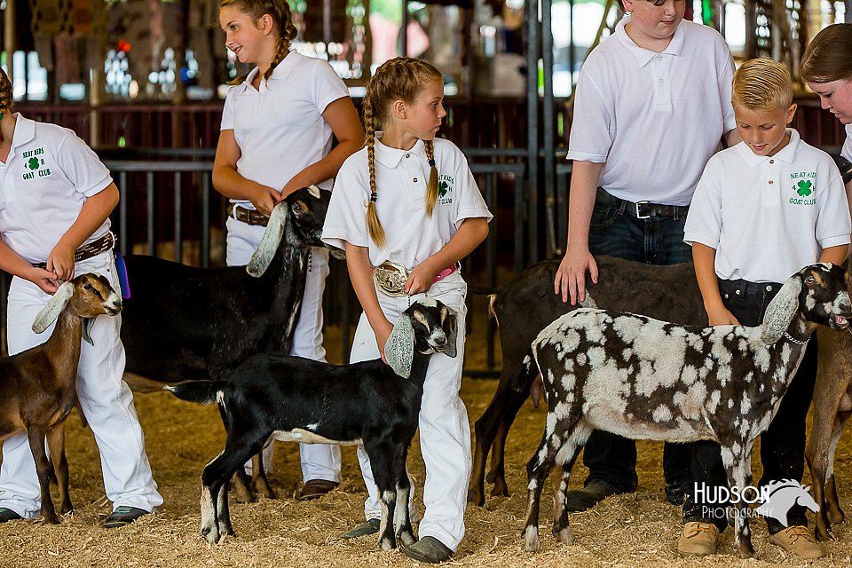 LCFair2016-1024.jpg