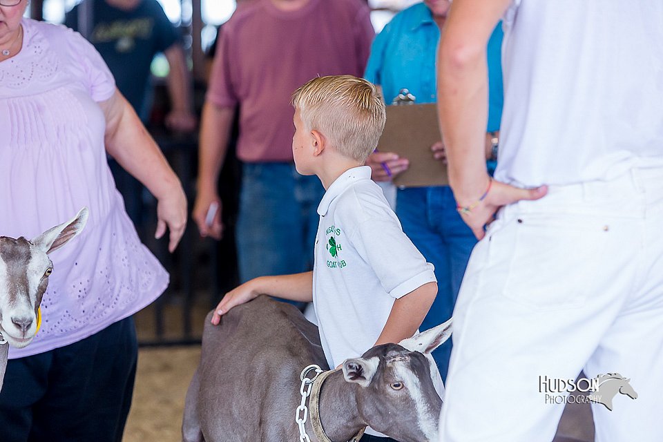 LCFair2016-1090.jpg