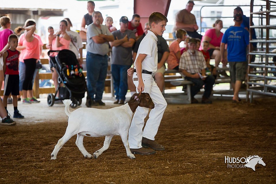 LCFair2016-1351.jpg