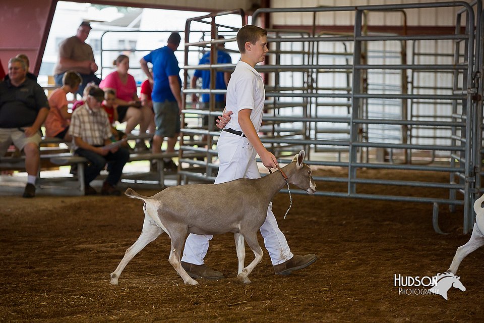 LCFair2016-1354.jpg