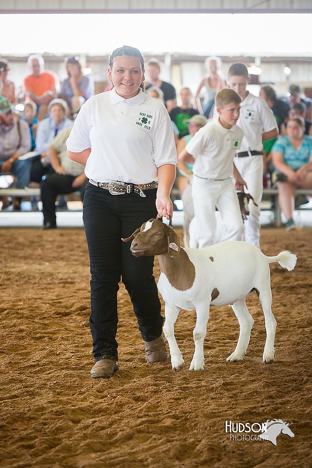 LCFair2016-1383.jpg