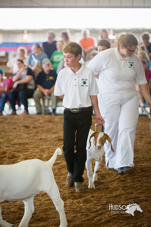 LCFair2016-1395.jpg
