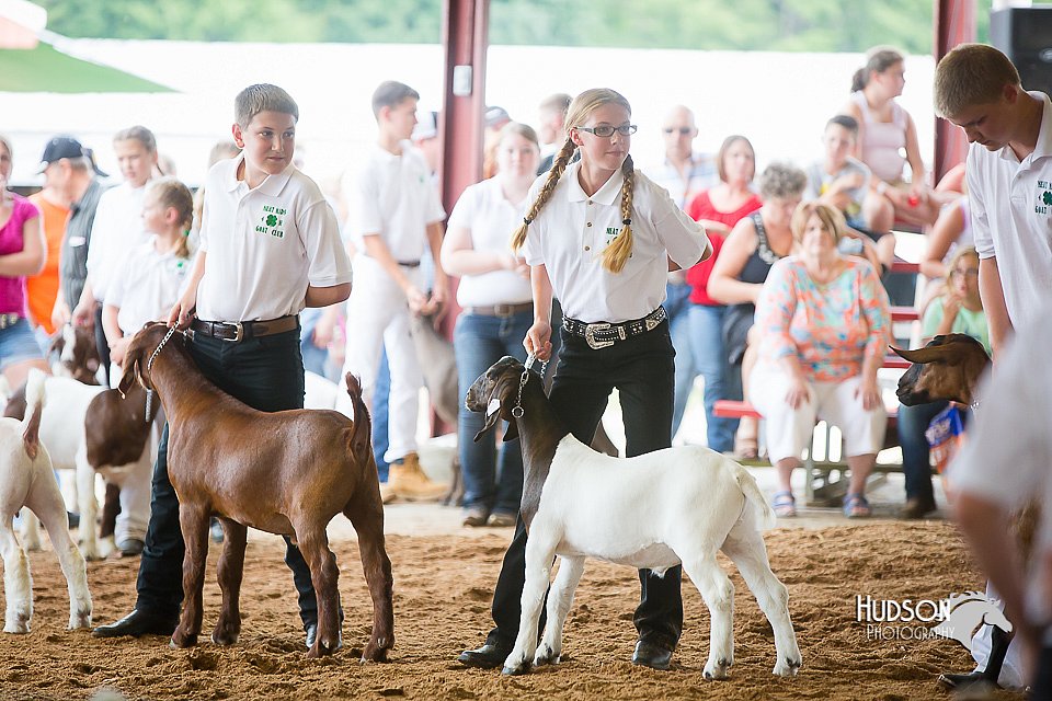 LCFair2016-1406.jpg