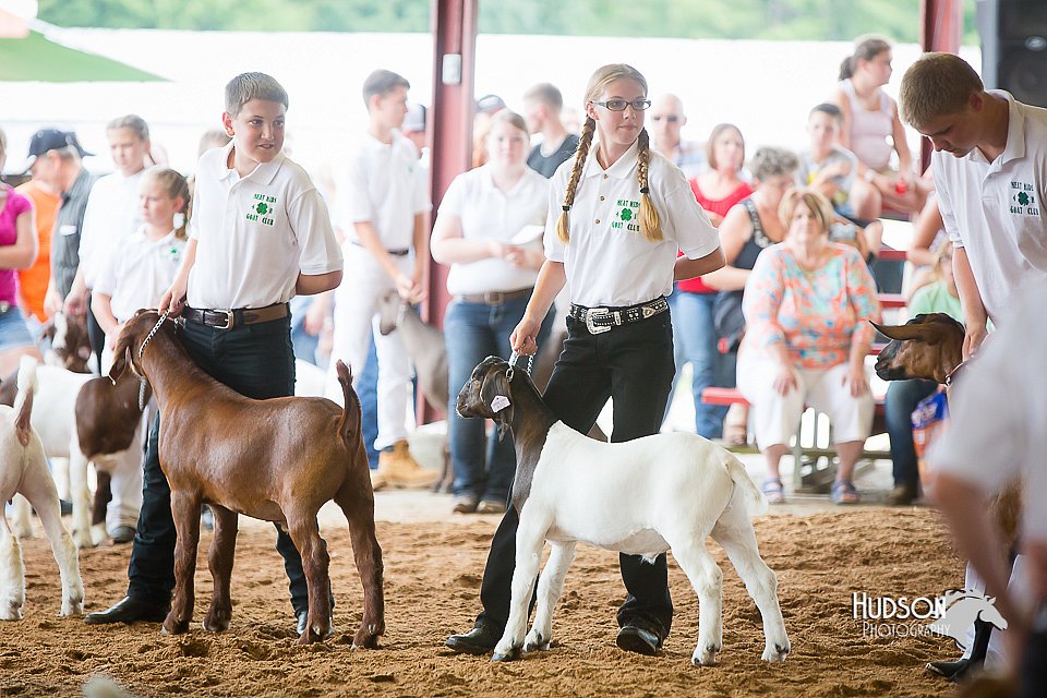LCFair2016-1407.jpg