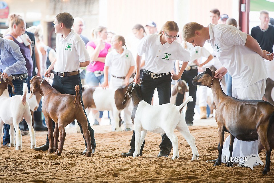 LCFair2016-1416.jpg