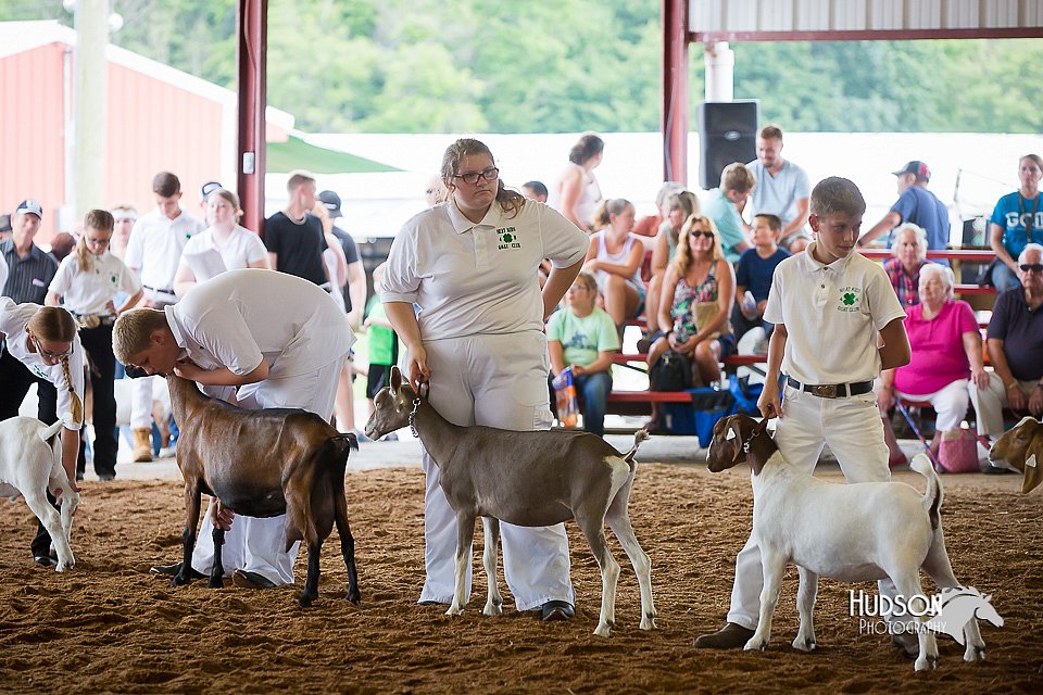 LCFair2016-1417.jpg