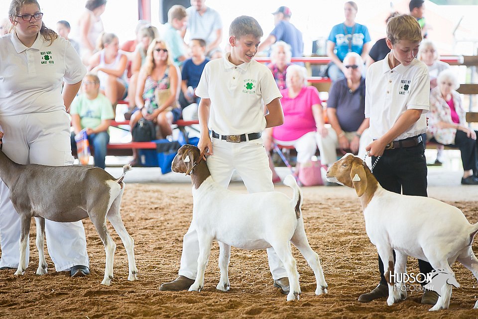 LCFair2016-1418.jpg