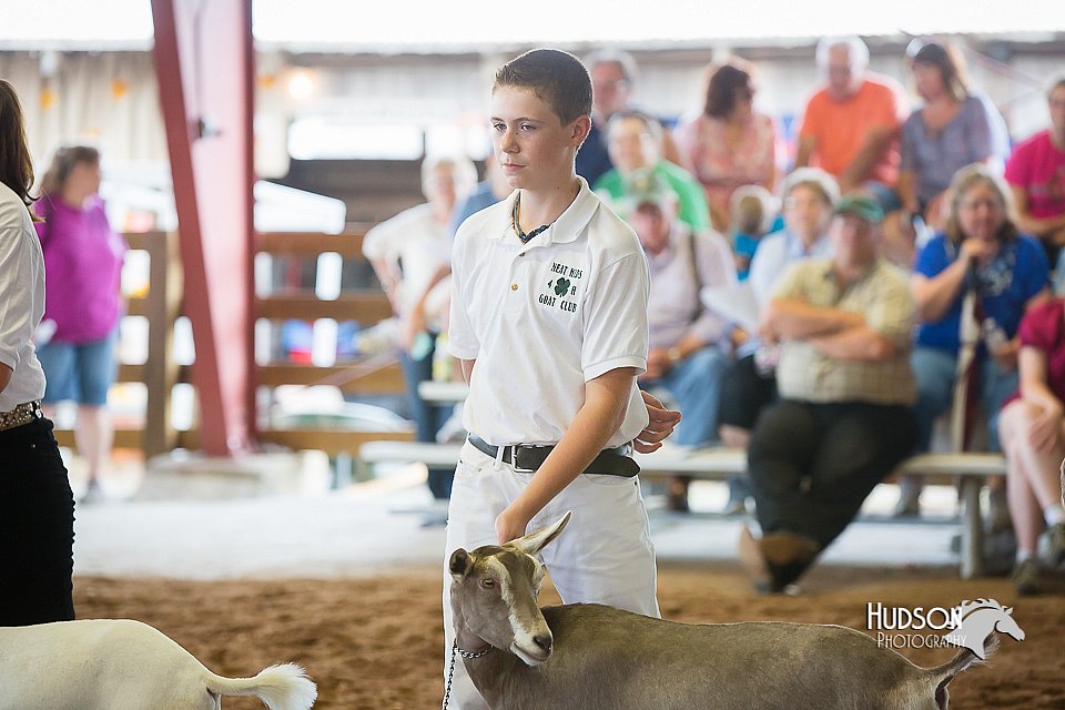 LCFair2016-1424.jpg