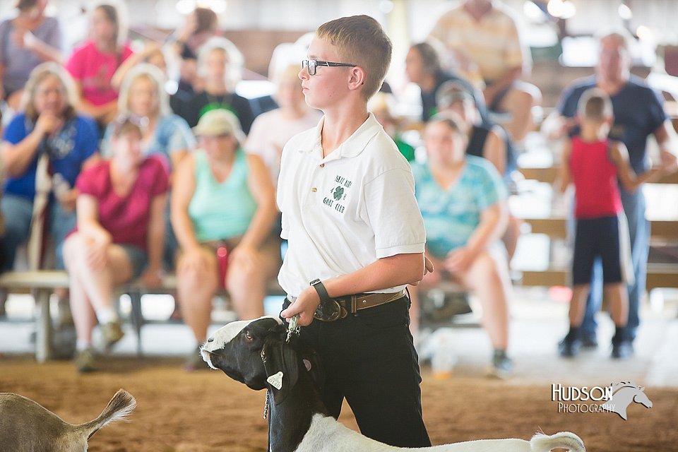 LCFair2016-1425.jpg
