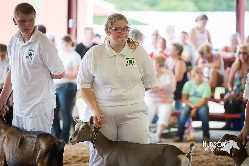 LCFair2016-1426.jpg