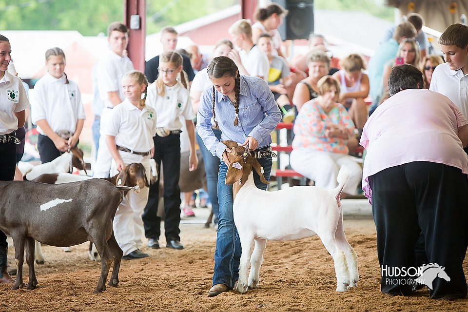LCFair2016-1437.jpg