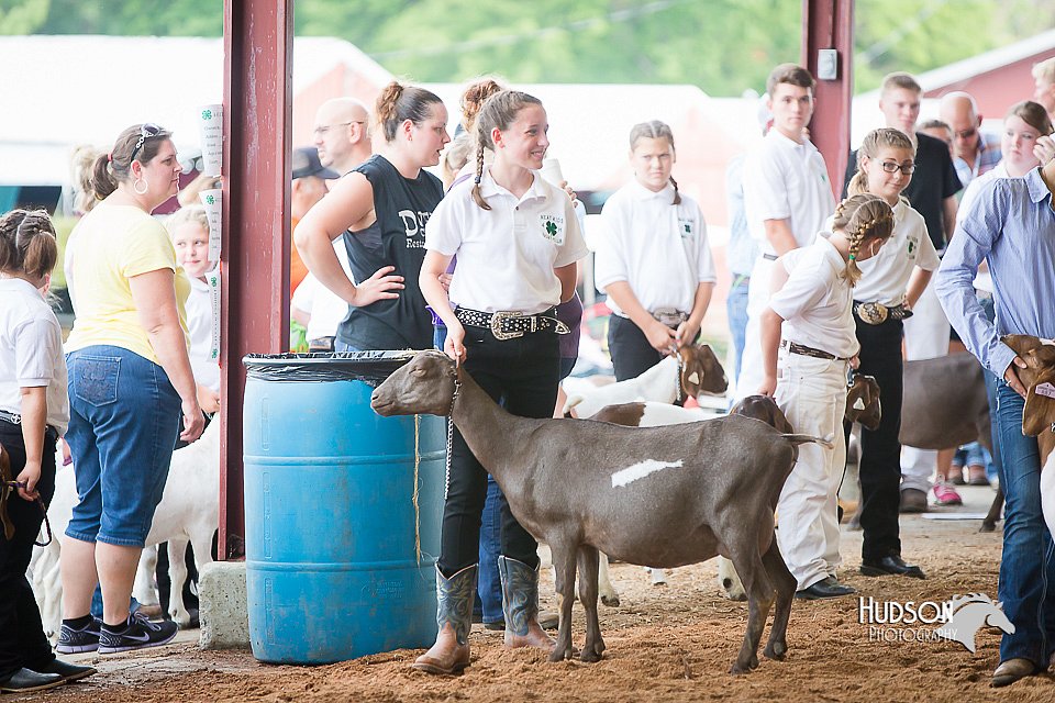 LCFair2016-1438.jpg