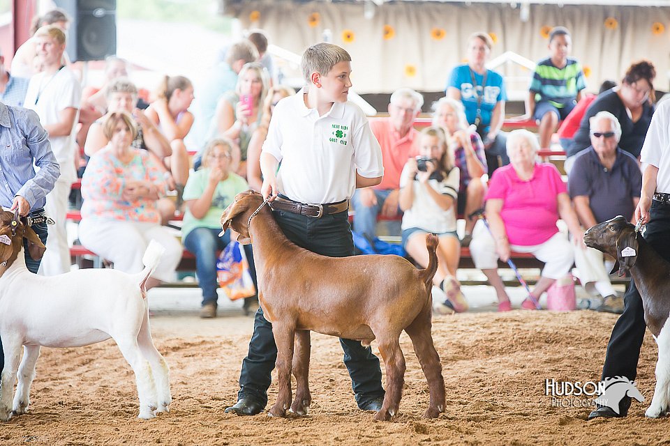 LCFair2016-1440.jpg