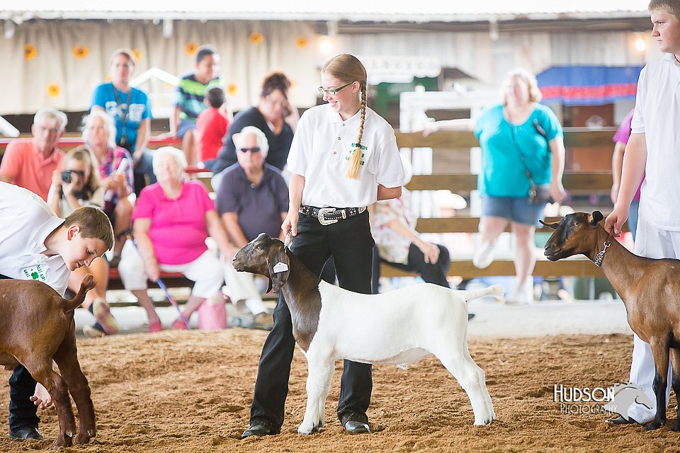LCFair2016-1441.jpg