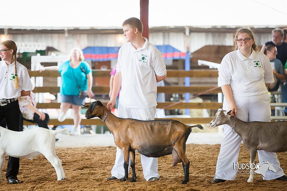 LCFair2016-1442.jpg