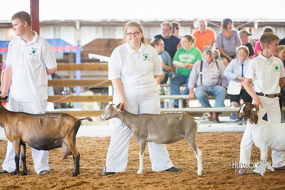 LCFair2016-1443.jpg