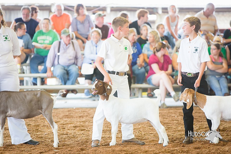LCFair2016-1444.jpg