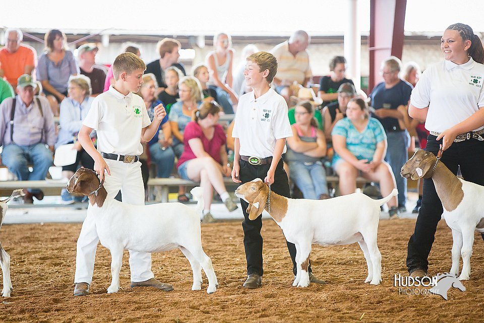 LCFair2016-1445.jpg