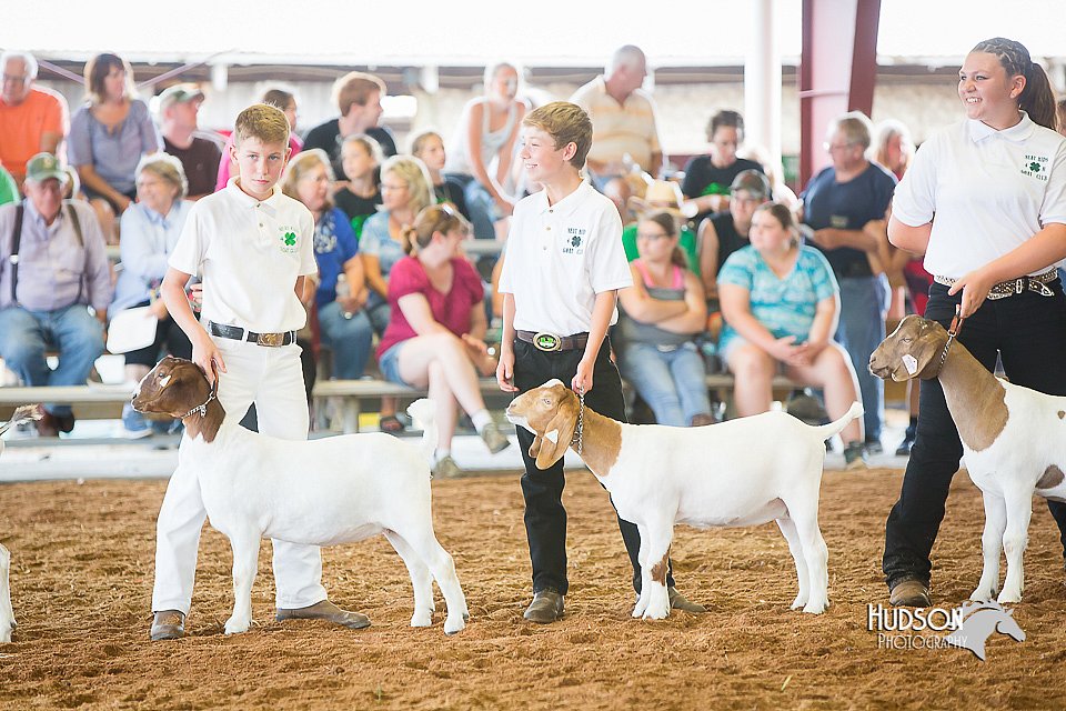 LCFair2016-1446.jpg