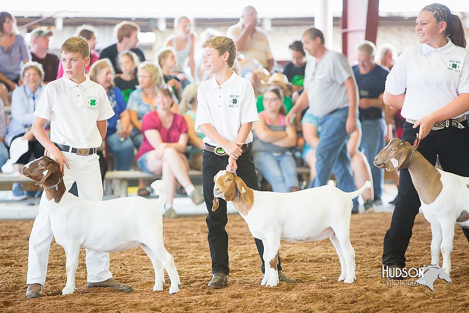 LCFair2016-1447.jpg