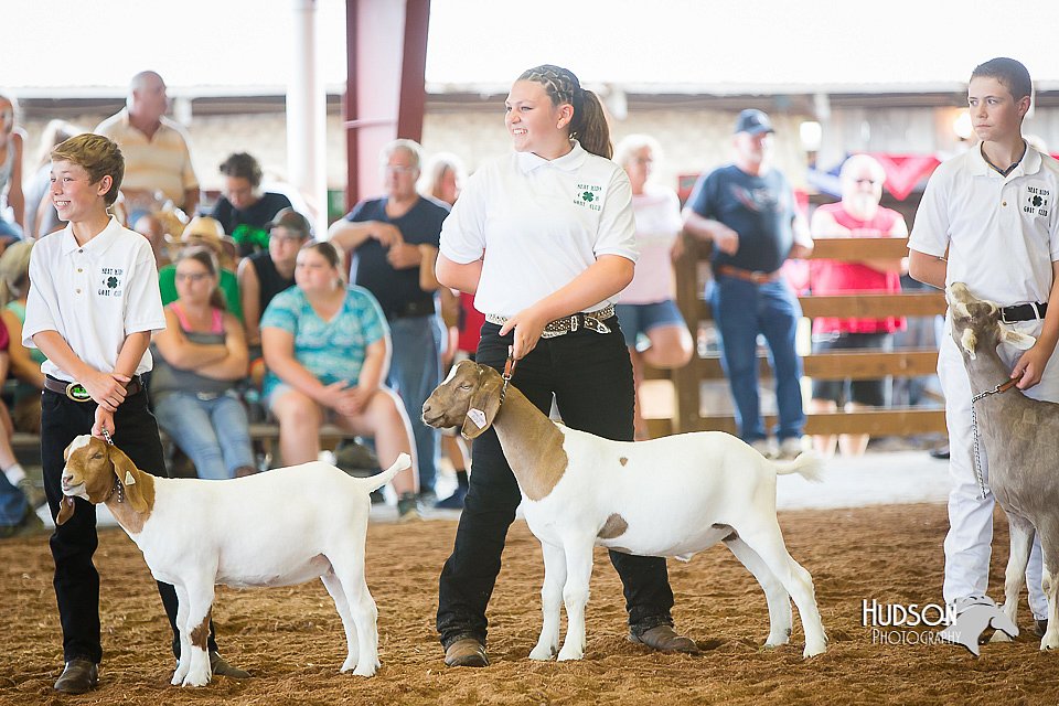 LCFair2016-1448.jpg