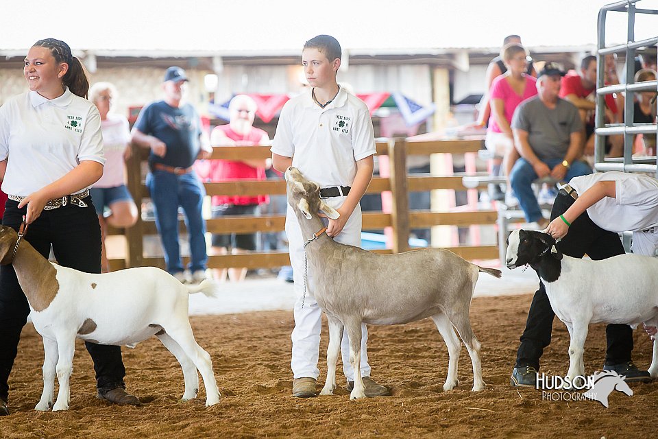LCFair2016-1449.jpg