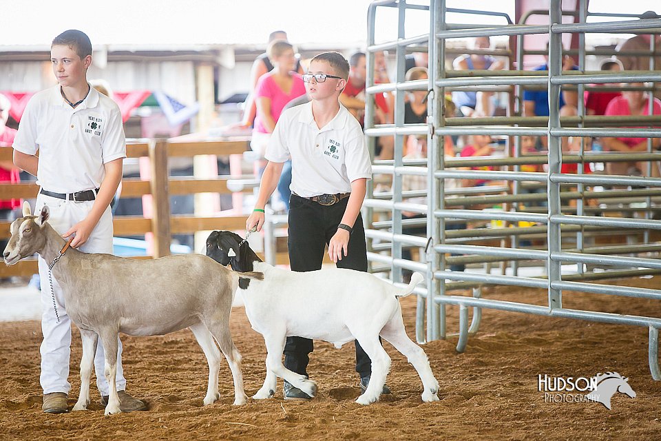 LCFair2016-1450.jpg