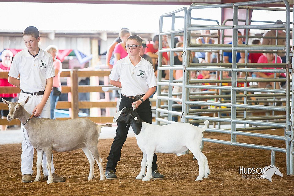 LCFair2016-1451.jpg