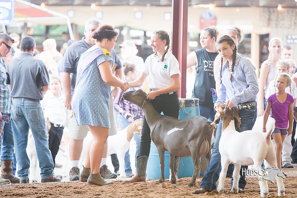 LCFair2016-1457.jpg